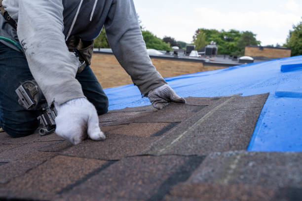 Best Emergency Roof Repair  in Matheny, CA